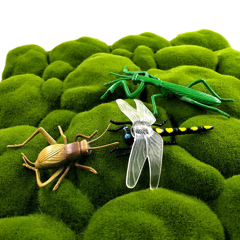 12 Stück Insekten-Tiermodelle  – Home Improvement News Bewertung und Preis