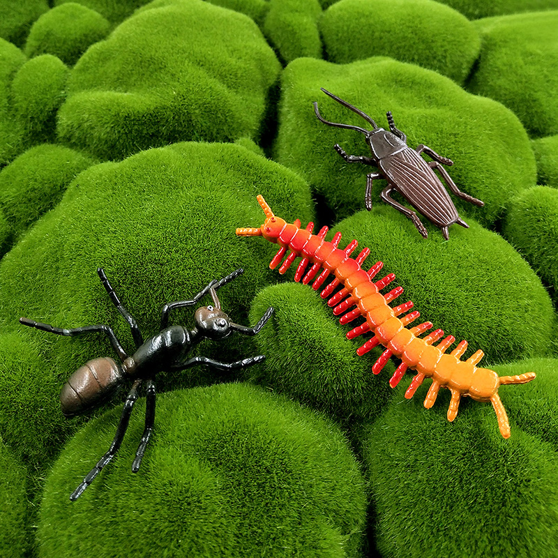 12 Stück Insekten-Tiermodelle  – Home Improvement News Bewertung und Preis