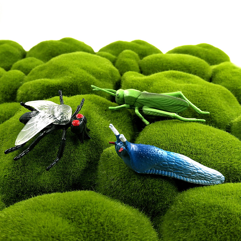 12 Stück Insekten-Tiermodelle  – Home Improvement News Bewertung und Preis